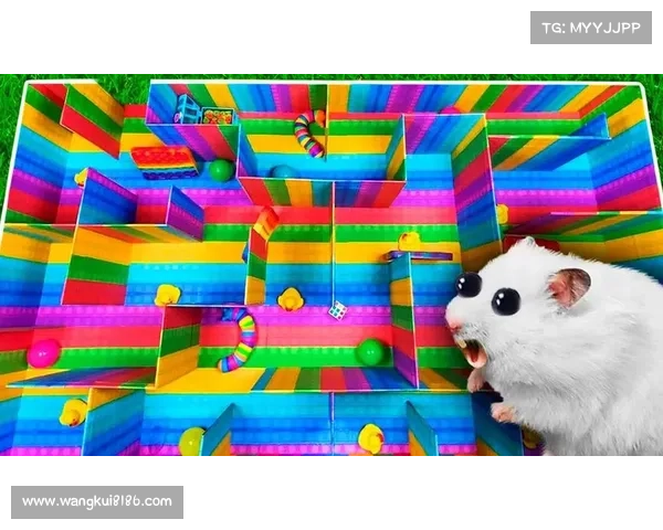 迷宫挑战视频攻略